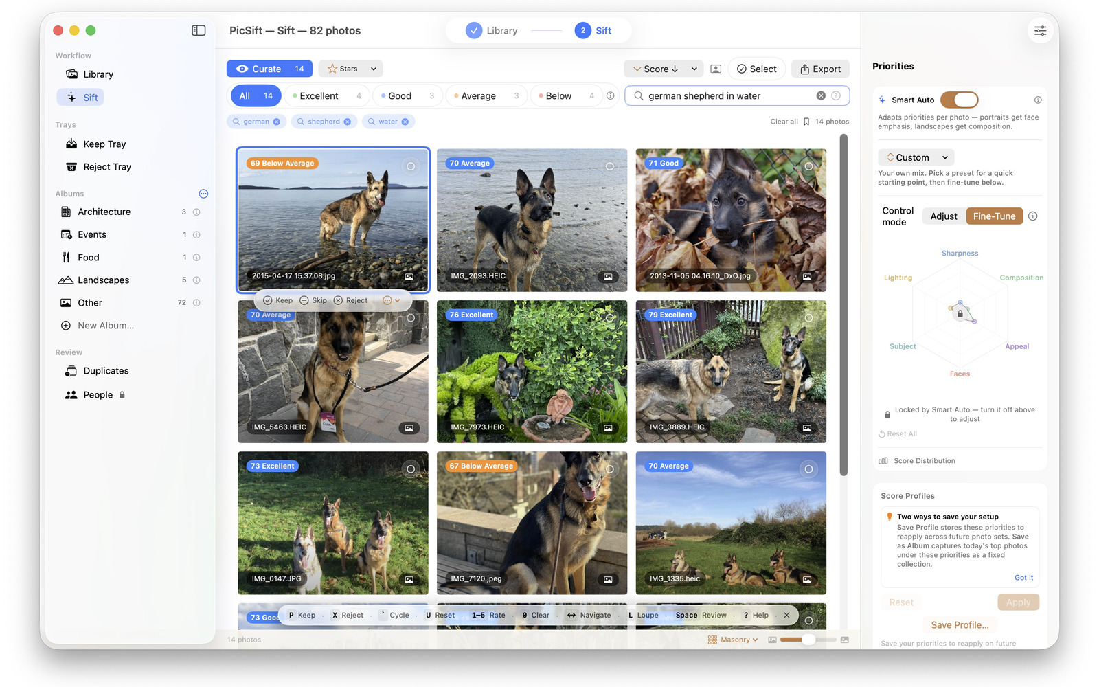 PicSift's search view filtering a photo library down to matching frames.